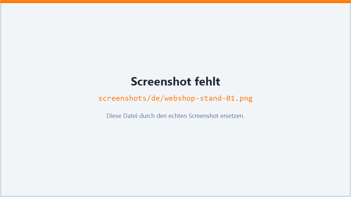 Stand der Umsetzung